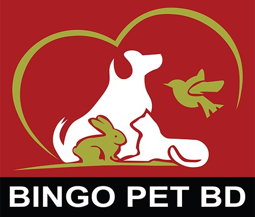 bingo pet bd